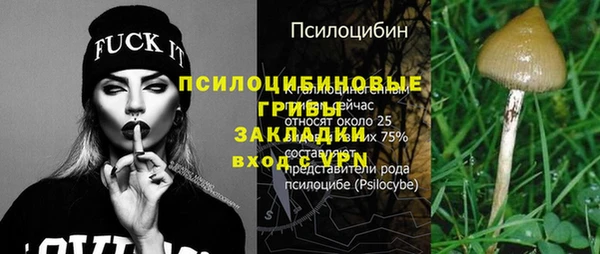 бошки Нягань