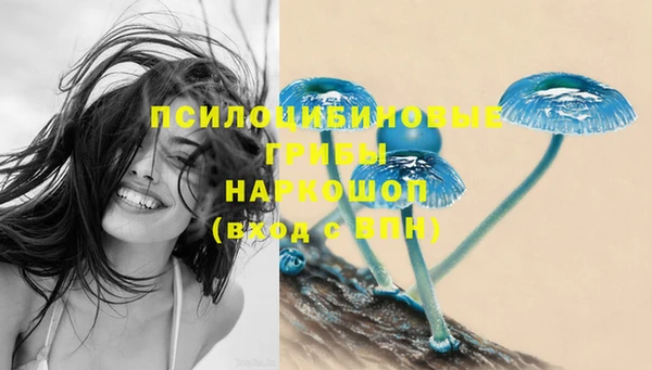 бошки Нягань