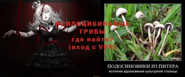 бошки Нягань