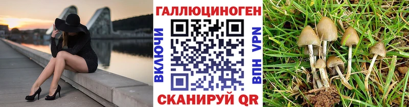Галлюциногенные грибы мухоморы  купить закладку  маркетплейс какой сайт  Россошь 