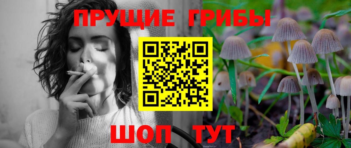Галлюциногенные грибы Magic Shrooms Россошь